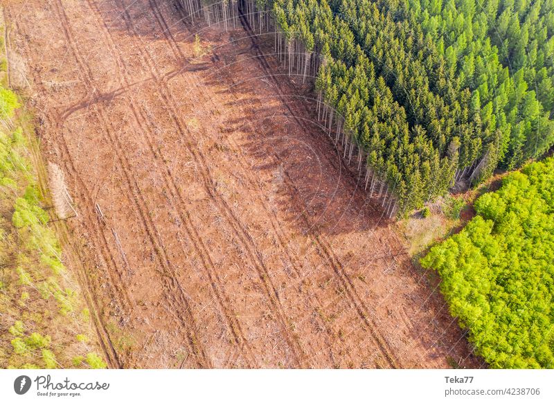 ein gefälltes Waldstück von oben gefällter Wald abgeholzter Waldteil Waldarbeiter Tauwald grün braun Klimawandel Borkenkäfer Toter Wald Holz Holzproduktion