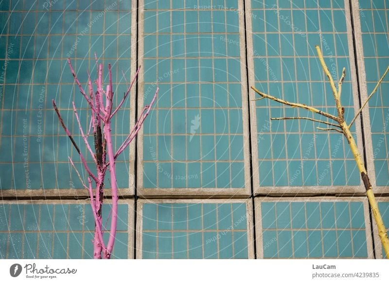 Bunte kahle Bäume vor einer türkisen Kachelwand bunt Kacheln rosa gelb mehrfarbig Fliesen u. Kacheln Farbfoto Wand Muster Fassade Mosaik abstrakt