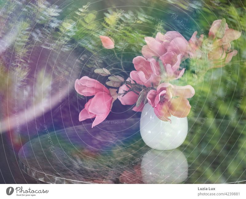 Magnolienstrauß in weißer Vase auf einem Kaffeetisch, fotografiert durch die Fensterscheibe mit Spiegelungen vom Laub der Straßenbäume rosa Blüten