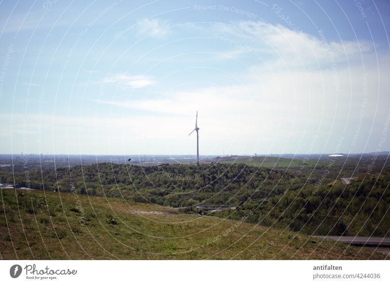 Windrad-Idylle Energie Erneuerbare Energie Energiewirtschaft Windkraftanlage Himmel Elektrizität Umweltschutz Technik & Technologie umweltfreundlich ökologisch