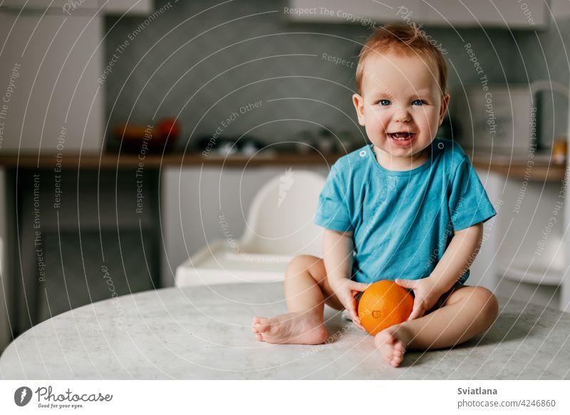 Ein kleiner Junge sitzt auf dem Küchentisch mit einer Orange in den Händen und lächelt wenig Baby orange Essen Kind Gesundheit Glück frisch Kleinkind niedlich