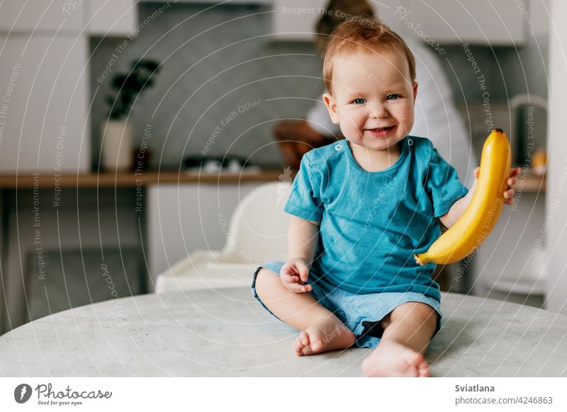 Ein kleiner Junge sitzt auf dem Küchentisch mit einer Banane in den Händen und lächelt Baby Lebensmittel Gesundheit Glück frisch Kleinkind niedlich Frucht
