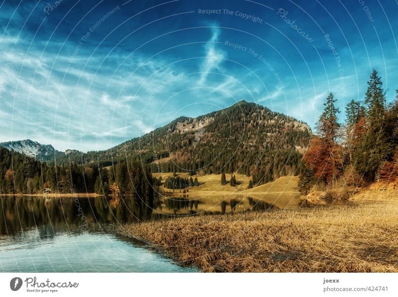 Spitzingsee Ausflug Freiheit Berge u. Gebirge wandern Natur Landschaft Wasser Himmel Wolken Sommer Herbst Schönes Wetter Wiese Wald Alpen See Menschenleer schön