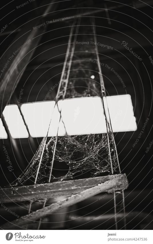 Verwobenes Kunstwerk Netz Spinnennetz Spinngewebe spinnwebe gefangen groß verwoben spinnen dunkel lost places Industrie verlassen Lagerhalle Fabrik Fabrikhalle