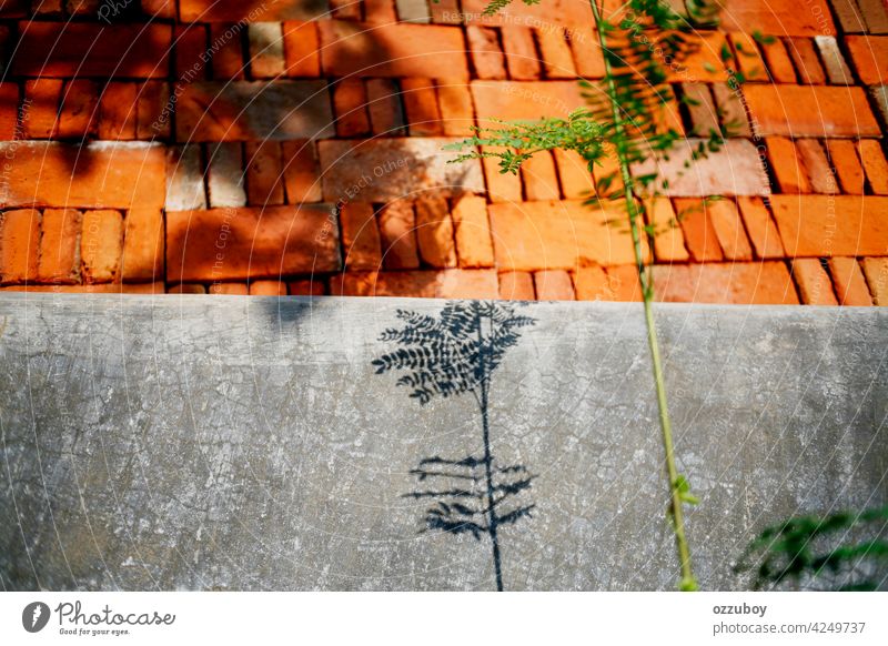 Schattenpflanzen an der Wand Architektur Hintergrund Klotz Baustein Zement Beton Konstruktion Außenseite Golfloch Industrie Material alt Muster rau Stapel