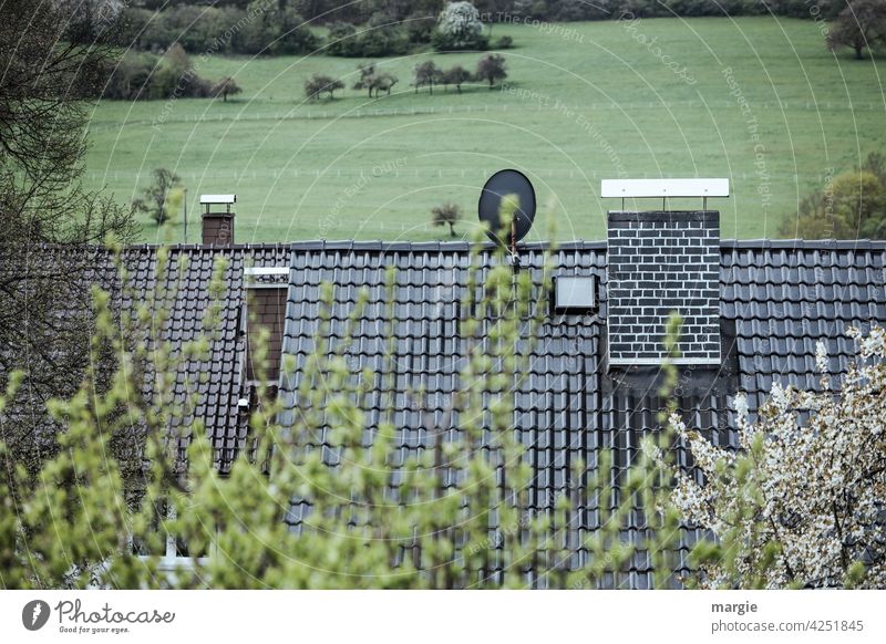 Dächer mit Schornsteinen und Satellitenschüssel, dahinter Wiesen und Wälder Dach Haus Dachziegeln Sattelittenschüssel Antenne Außenaufnahme Menschenleer Tag
