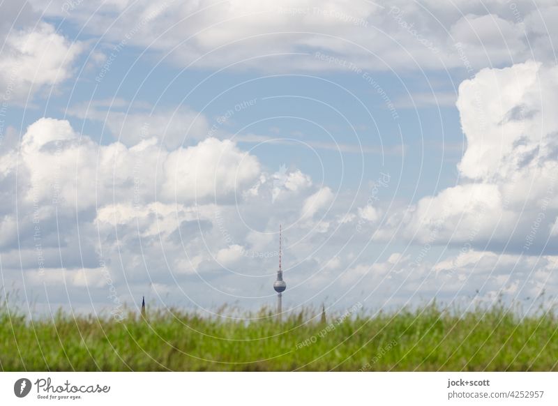 Berliner Grünfläche unterm Wolkenhimmel Wiese Gras Berliner Fernsehturm natürlich Wahrzeichen Illusion Sinnestäuschung Wolkenformation Orientierung hervorragend