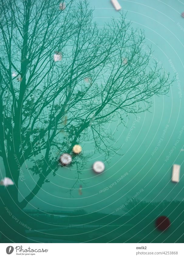 Zerstreut Schwarzes Brett Glasscheibe Magnet rund Farbfoto abstrakt Menschenleer Außenaufnahme Detailaufnahme Reflexion & Spiegelung Totale Himmel Wolken
