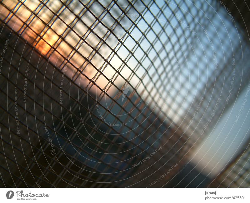 Hinter Gittern Fenster Vorhang Fototechnik Himmel blau Sonne Aussicht Sonnenuntergang