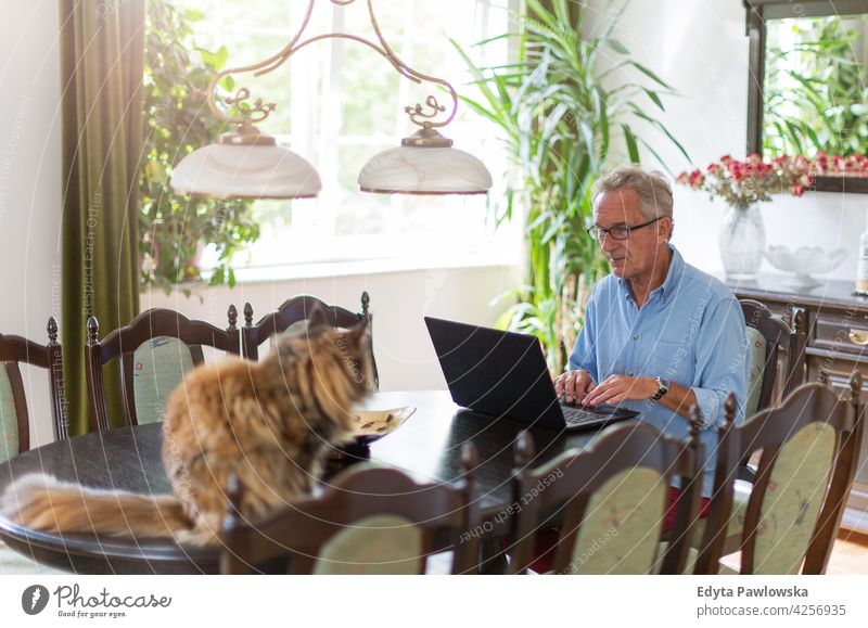 Älterer Mann arbeitet am Laptop zu Hause Senior alt Männer männlich heimwärts Menschen Lifestyle genießend häusliches Leben echte Menschen Rentnerin