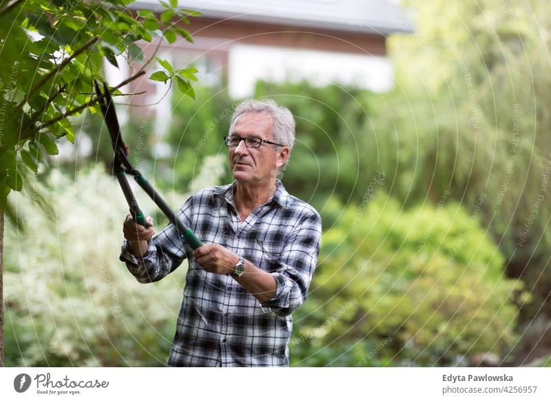 Senior Mann beschneidet Äste im Hinterhof alt Männer männlich heimwärts Haus Menschen Lifestyle genießend zu Hause häusliches Leben echte Menschen Rentnerin