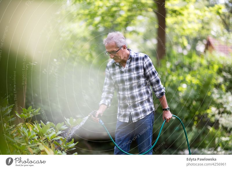 Mann im Ruhestand gießt Pflanzen im Garten Senior alt Männer männlich heimwärts Haus Menschen Lifestyle genießend zu Hause häusliches Leben echte Menschen