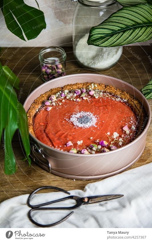 gebackener veganer Käsekuchen mit Mohnblumensirup Studioaufnahme Torte Foodfotografie Dessert Kuchen Stillleben Essen organisch selbstgemacht Frucht