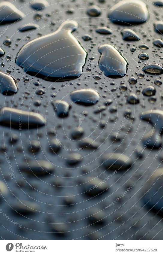 Wassertropfen auf einer schwarzen Metalloberfläche Tropfen Wassertopfen Edelmetall nass Nahaufnahme Detailaufnahme Regen feucht Reflexion & Spiegelung glänzend