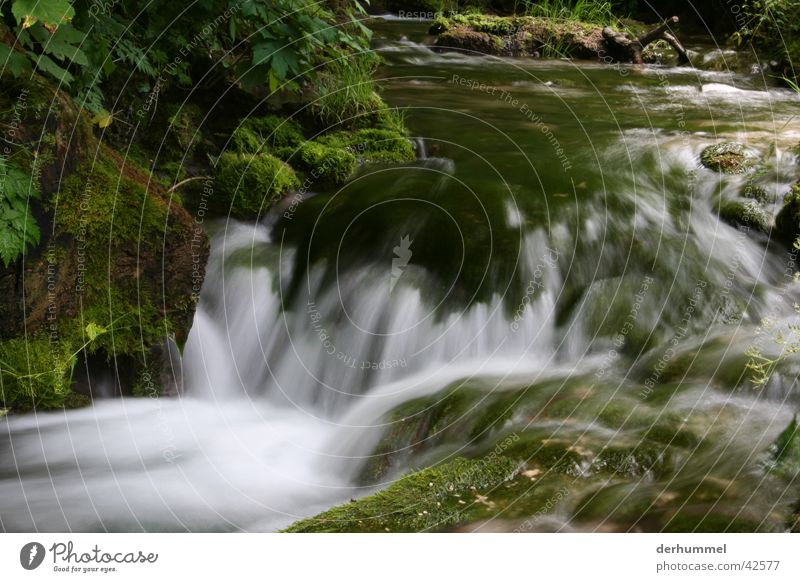 Bach schäumen Gischt Wasser kleiner fluss Fluss Natur