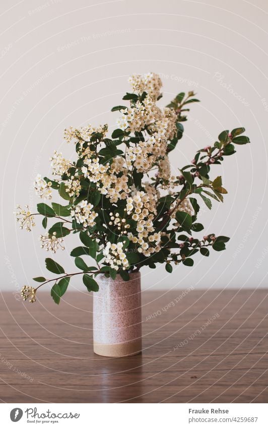 Blühender Spierstrauch in einer kleinen Vase auf einem Holztisch vor hellem Hintergrund Blumendekoration Blüten Dekoration weiße Blüten rosa Esstisch blühend
