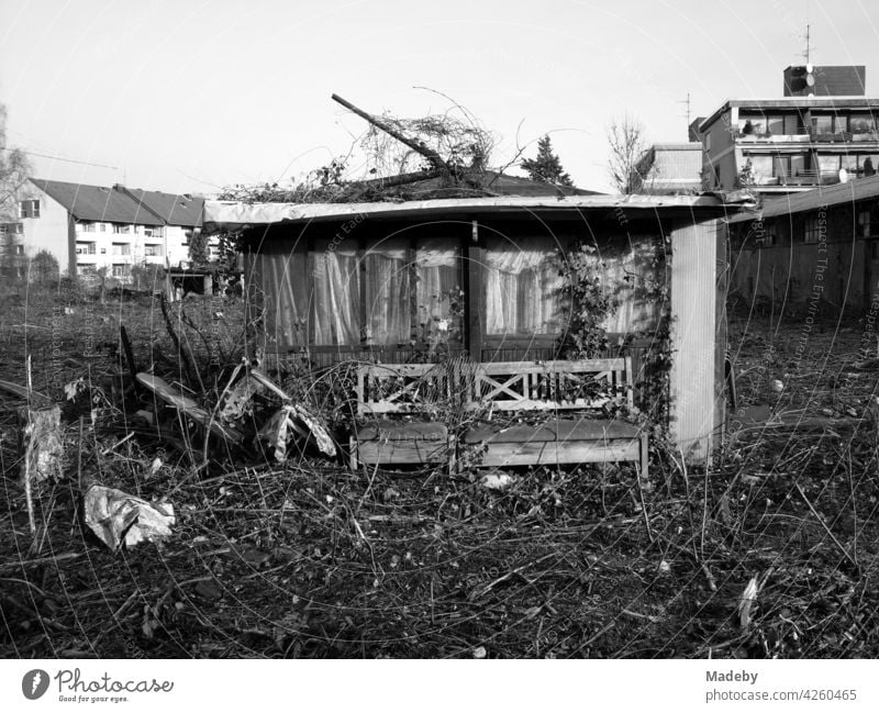 Altes Gartenhaus vor dem Abriss in einer ehemaligen Laubenkolonie auf neu ausgewiesenem Bauland in Lage bei Detmold in Ostwestfalen-Lippe, fotografiert in neorealistischem Schwarzweiß