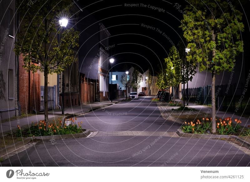 Nachts auf der Straße, kleine Seitenstraße mit geparkten Autos und Tulpen am Straßenrand nachts Gebäude Baum Bäume Deutschland Teltow-Fläming Straßenbelag