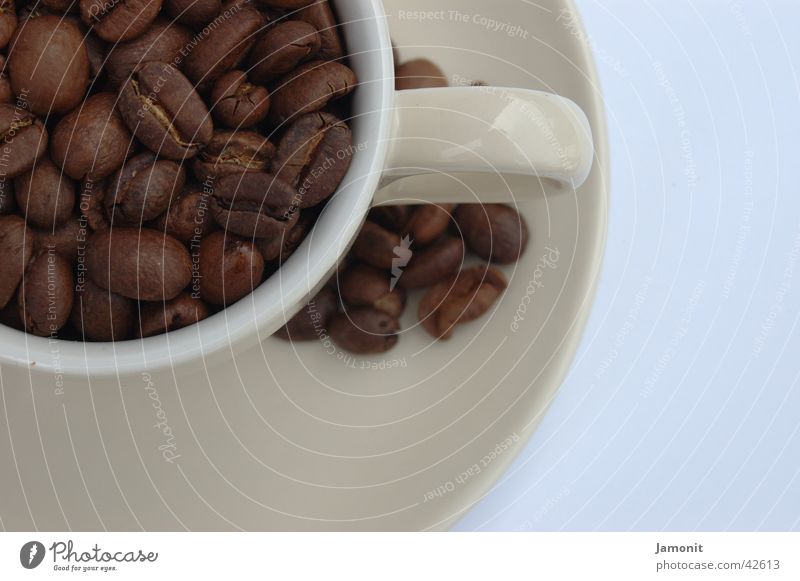 Unfertiger Espresso Bohnen Tasse Kaffee ungemahlen kaffeespezialität coffee beans cup