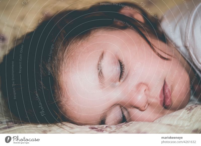 Nahaufnahme Seitenansicht eines kaukasischen kleinen Mädchens, das friedlich schläft Unschuld unschuldig Zärtlichkeit Ruhe verträumt echte Menschen schlafend