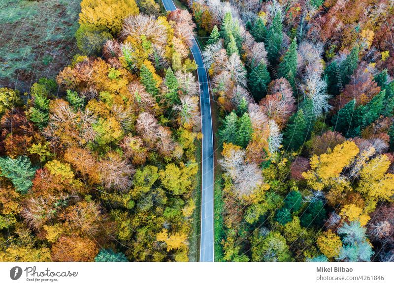 Luftaufnahme eines Laubwaldes im Herbst und einer Straße. laubabwerfend Antenne Wald Tourismus Umwelt erkunden Spanien reist Autoreise Landschaft Natur oben