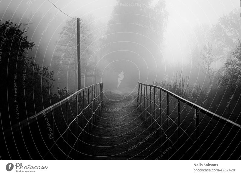 Eine Fußgängerbrücke über einen Fluss im Wald Herbst verschwommen Brücke Farbe Bach Damp Umwelt Erkundung fallen fließend Nebel neblig Steg wandern Landschaft
