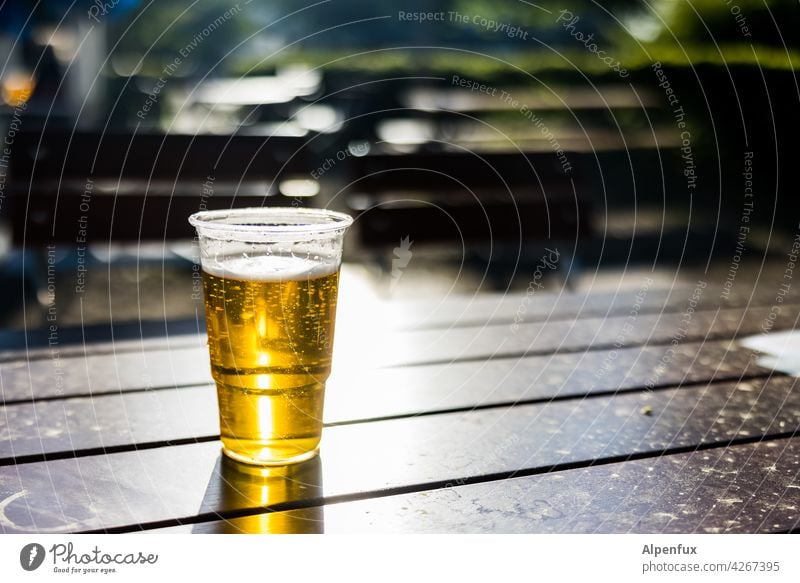 Prost Bier Biergarten Pils Alkohol Außenaufnahme Sonnenlicht Lichterscheinung Menschenleer Farbfoto Glas Getränk Bierglas Erfrischungsgetränk trinken Tag