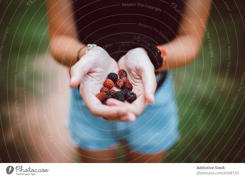 Crop-Frau mit köstlichen Brombeeren in den Händen im Freien gesunde Ernährung natürlich Vitamin organisch reif frisch Sommer geschmackvoll zeigen lecker Wittern