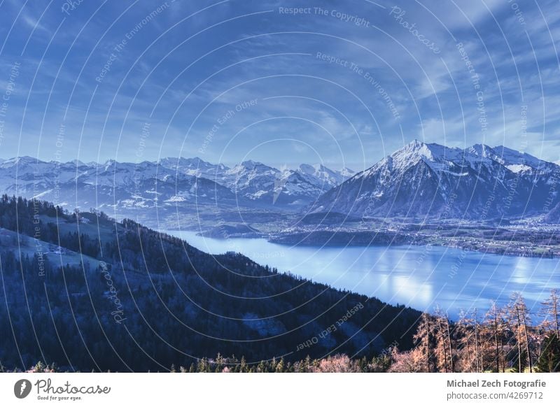 Blick über den Thunersee auf den Niesen und die Schweizer Alpen Landschaft reisen Anziehungskraft interlaken Natur Urlaub Tourismus See alpin Wasser