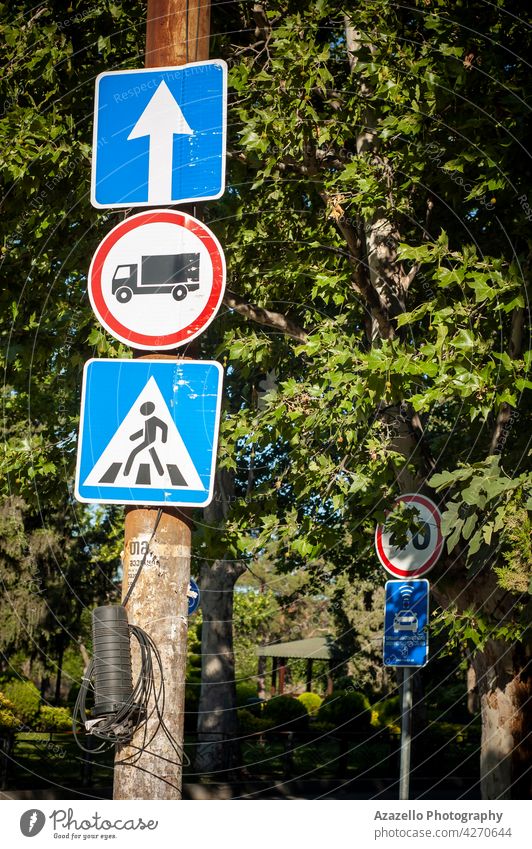 Drei Straßenschilder zwischen den Bäumen in der hellen Morgensonne. gerade weitergeben Regie Bus Linie stoppen Zebra Überfahrt Fußgänger Ikon Symbol Zeichen