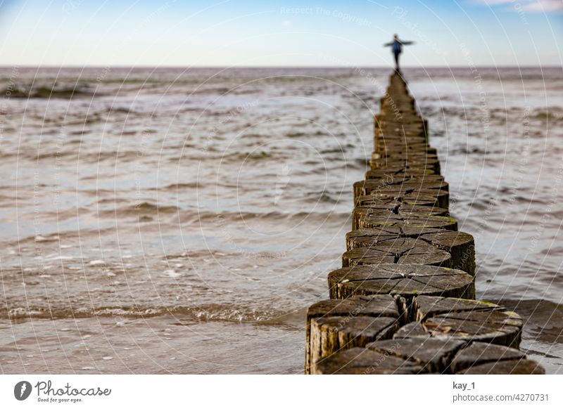 Balancierend auf einer Buhne am Ostseestrand Buhnen Holz Wasser Strandspaziergang Mecklenburg-Vorpommern Landschaft Ostseeküste Meer Natur Küste