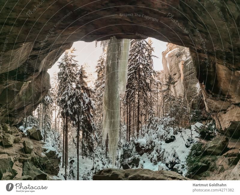 Winterliche Aufnahme der Gautschgrotte bei Hohnstein im Nationalpark Sächsischen Schweiz. Blick aus der Grotte heraus auf einen großen Eiszapfen. Berge Bäume