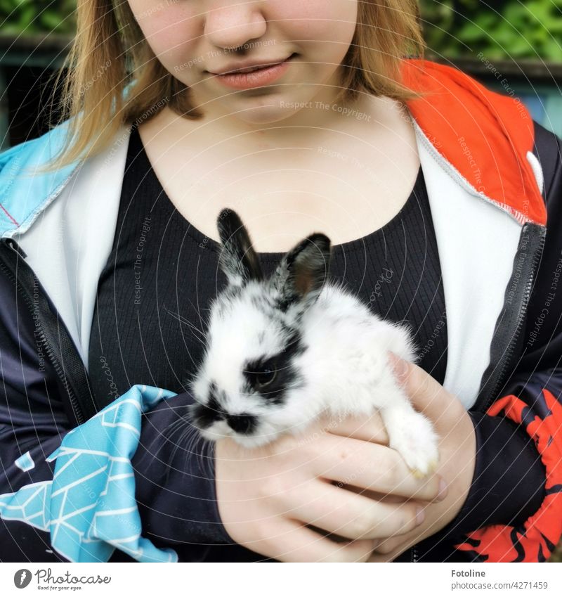 Das Mädchen ist ganz verliebt in dieses kleine süße und neugierige Kaninchen. Hase & Kaninchen Tier Ohr Fell Haustier niedlich Farbfoto Tierporträt Tag