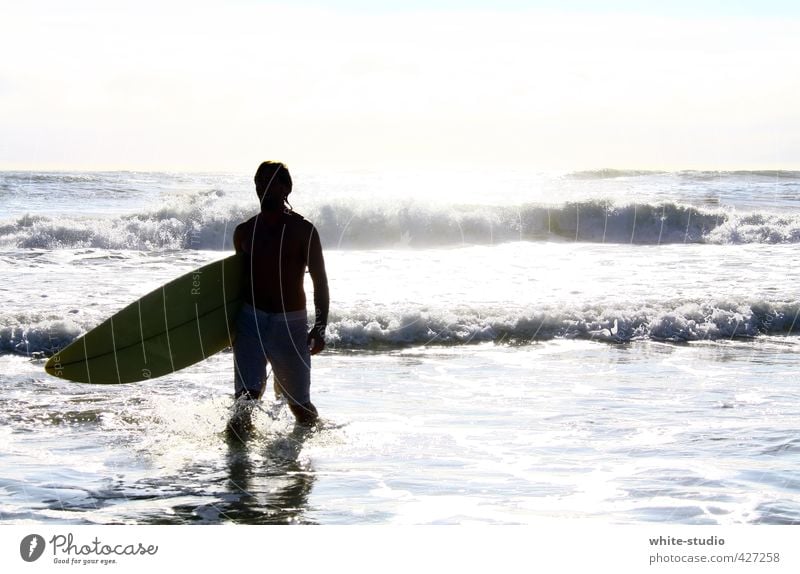 Die Welle des Lebens reiten Lifestyle Schwimmen & Baden Sommer Sommerurlaub Sonne Sonnenbad Strand Meer Wellen Wassersport Surfen Surfer Surfbrett