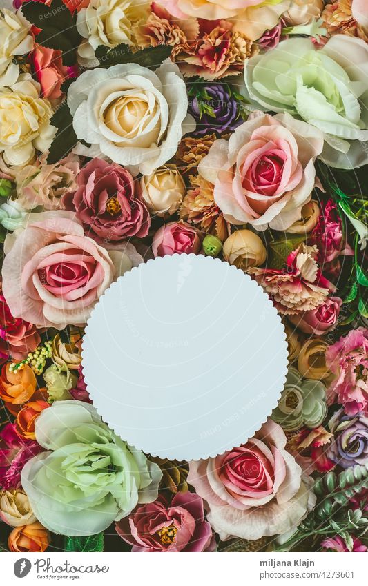 Schöne bunte Blumen Wand Hintergrund, mit weißen Kreis Grußkarte mit Kopie Raum; Frühling, Hochzeit, Jubiläum oder Florist Grußkarte Werbung Jahrestag Bett