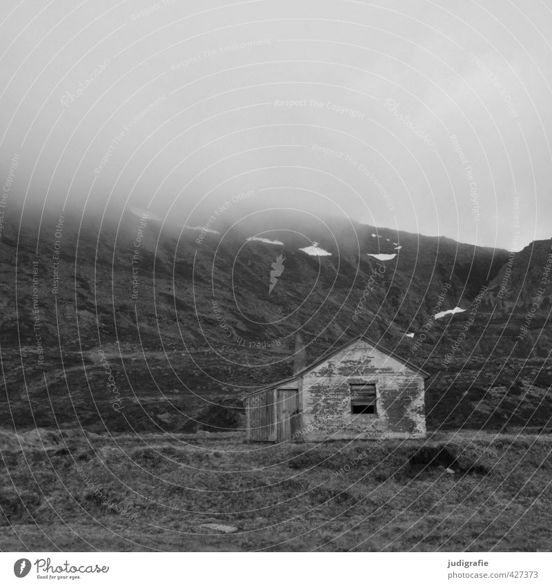 Island Umwelt Natur Landschaft Wolken Klima Nebel Felsen Berge u. Gebirge Westfjord Haus Hütte Gebäude alt dunkel gruselig klein Stimmung Einsamkeit