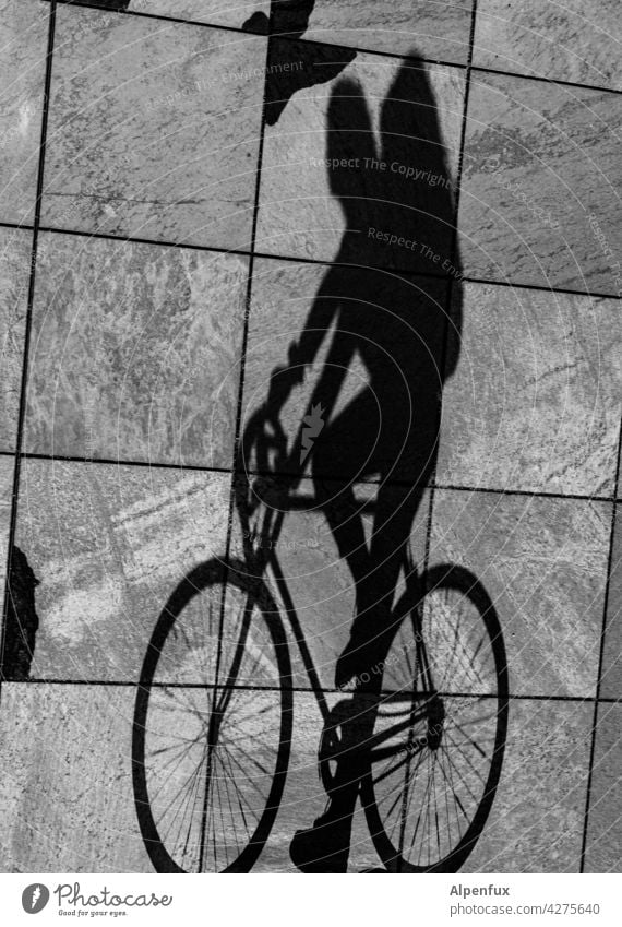 Auf den Kopf gestellt | Radler Fahrradfahrer Schatten Schattenspiel Licht Fahrradfahren Freizeit & Hobby Außenaufnahme Bewegung Fahrradtour Wege & Pfade Ausflug
