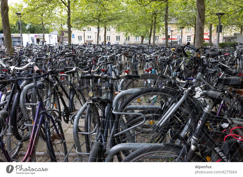Anwohnerparkplatz Fahrrad Fahrradfahren Stadt Verkehrsmittel Außenaufnahme Parkplatz Fahrradtour Fahrradweg Parkplatzsuche Freizeit & Hobby Alternative