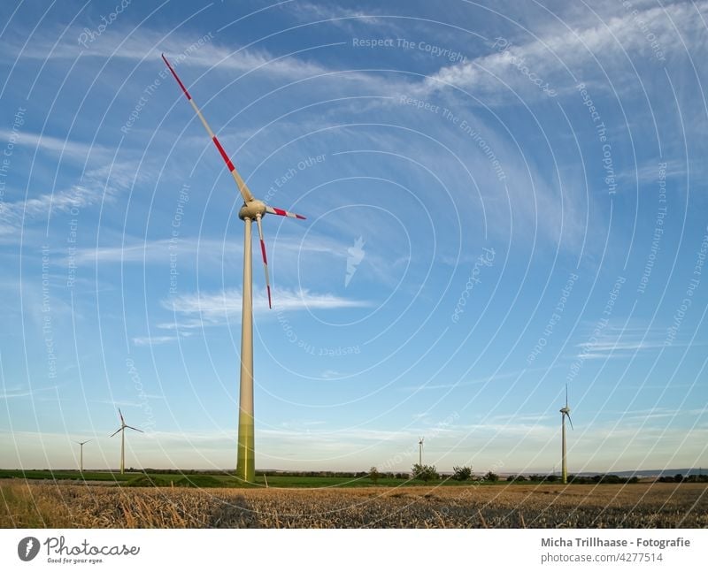 Windräder in der Landschaft Windkraftanlage Erneuerbare Energie Technik & Technologie Energiewirtschaft Landwirtschaft Nachhaltigkeit Elektrizität Strom