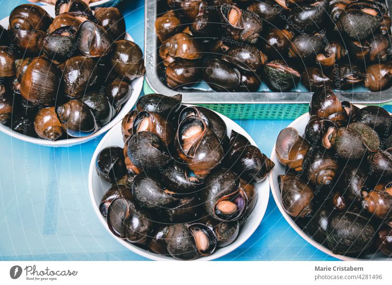 Pomacea Canaliculata oder Oc Buou, beliebtes traditionelles vietnamesisches Straßenessen in Vietnam Schnecke Vietnamesisches Straßenessen