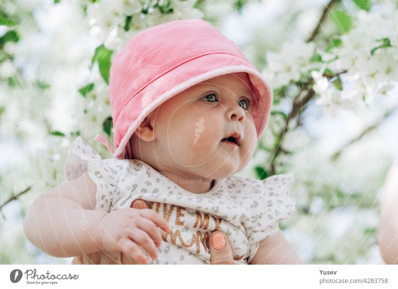 Porträt eines süßen Baby-Mädchens mit blauen Augen in einem rosa Hut. Nahaufnahme. Weicher Fokus. Glückliche Kindheit Konzept. Lebensstil Fotografie. Blühende Apfelbäume Frühling Hintergrund. Sonniger Tag