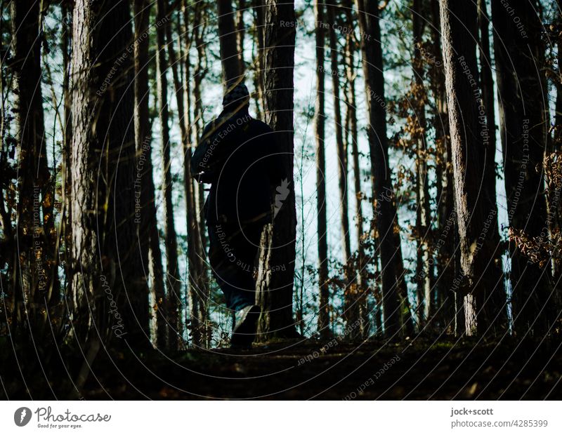 Wandern zwischen Baum + Borke Baumstamm Wald Natur Strukturen & Formen Silhouette Schatten Lichterscheinung Gegenlicht Kontrast Spaziergang Umwelt Franken