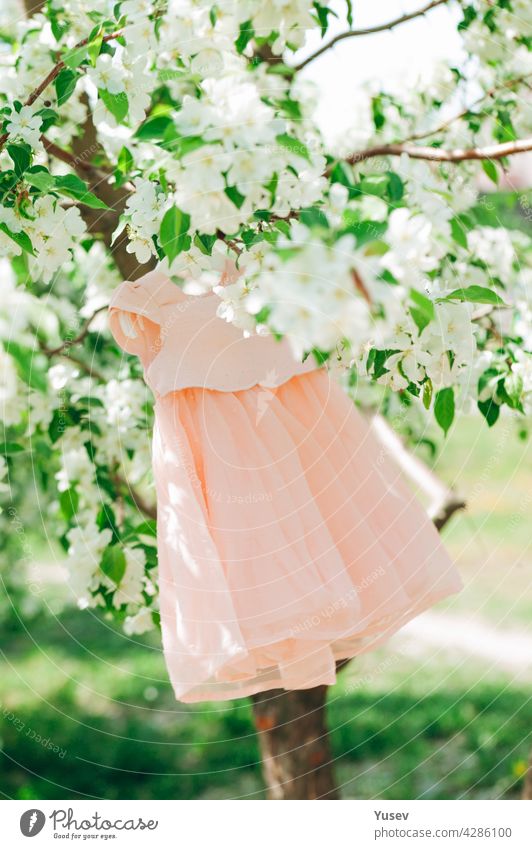 Eleganz stilvolle pfirsichfarbenen Baby-Kleid hängt an einem blühenden Apfelbaum. Grüner Hintergrund. Frühlingszeit. Blühende Apfelplantage. Frühling Konzept der Erneuerung der Natur, positive Emotionen. Vertikale Aufnahme