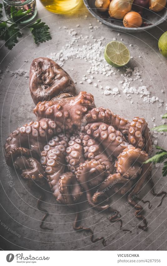 Ungekochter roher Oktopus mit Kalk, Gemüse, Kräutern und Salz. Frische Meeresfrüchte Konzept auf dunklem Beton Hintergrund. Ansicht von oben. Nahaufnahme