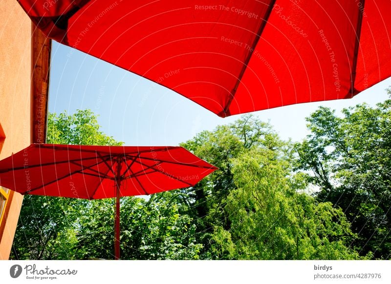 heißer Sommer. rote Sonnenschirme auf dem Terrasse mit blauem Himmel umgeben von Bäumen Hitze zuhause sommerlich Sonnenschutz Sommerurlaub blauer Himmel Haus