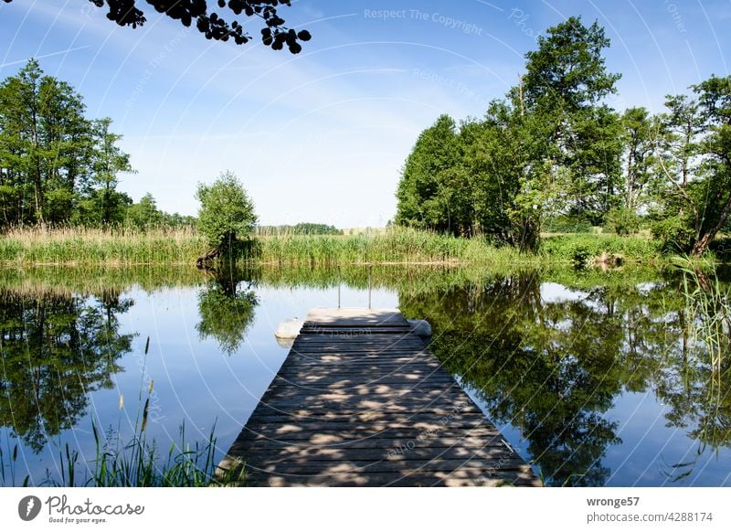 Ufer der Warnow mit hölzernen Bootssteg und Lichtschattenmuster, sowie sich im Wasser spiegelnden Bäumen, Schilf und blauem Sommerhimmel Fluss Steg Uferpflanzen