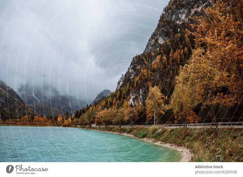 Berg und Bäume am See in Dolomit Wald Wasser Tourismus Landschaft schön farbenfroh reisen Straße Natur Panorama Park Toblach Trentino Alpen Italienisch Europa