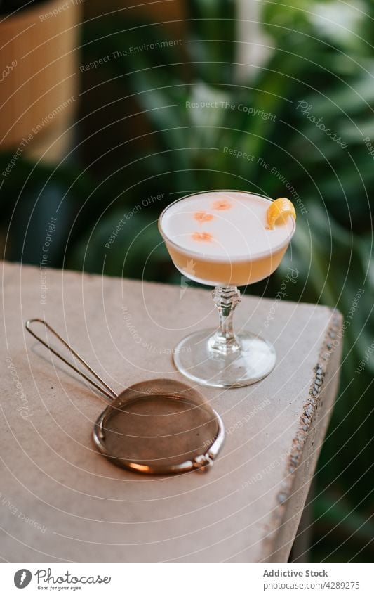 Alkoholischer Cocktail in Gläsern auf einem Betontisch Pisco sour Zitrusfrüchte exotisch Saft Kalk Eiweiß dienen Bar Glas Getränk Frucht geschmackvoll kalt