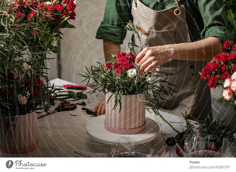 Floristen machen Geschenksträuße in Hutschachteln. Anmutige Frauenhände machen einen schönen Blumenstrauß. Florist Arbeitsplatz. Kleines Geschäftskonzept. Frontansicht. Blumen und Zubehör