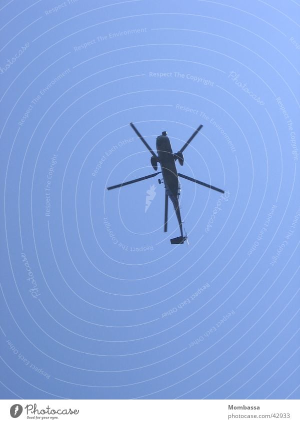 großes Insekt Hubschrauber Froschperspektive Luftverkehr Himmel